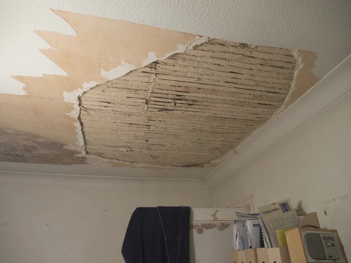 Water Damage Repair